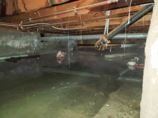 Best Water damage restoration company  in Everett, MA