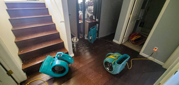 Local water damage restoration in Everett, MA
