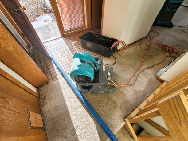 Trusted Everett, MA Water damage restoration Experts