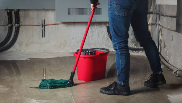Best Carpet water damage restoration  in Everett, MA
