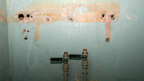 Best Flood damage cleanup  in Everett, MA