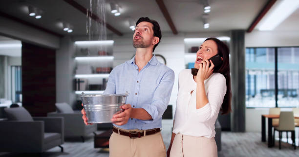 Water damage restoration mold remediation in Everett, MA